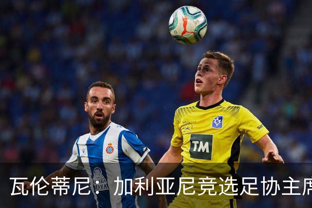 瓦伦蒂尼：加利亚尼竞选足协主席，意甲内部存在分裂